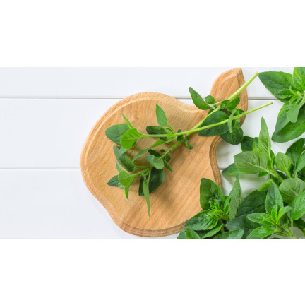 Z3026 OREGANO LEBIODKA NASIONA ZIÓŁ ZIOŁA AROMATYCZNE ZIOŁO KAŻDEJ KUCHNI 0,5G