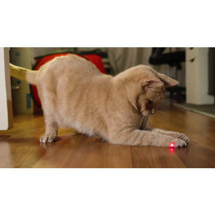 IM024 LASER DLA KOTA WSKAŹNIK LASEROWY LATARKA UV ZABAWKA 3w1 DO ZABAWY Z KOTEM
