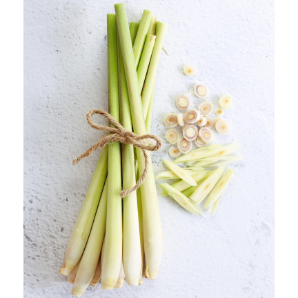 Z3034 TRAWA CYTRYNOWA NASIONA ZIÓŁ ZIOŁA LEMONGRASS WŁAŚCIWOŚCI ZDROWOTNE 0,1G