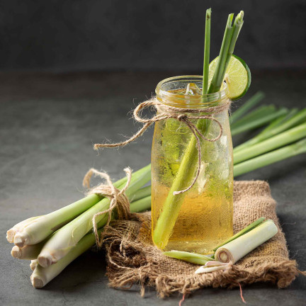 Z3034 TRAWA CYTRYNOWA NASIONA ZIÓŁ ZIOŁA LEMONGRASS WŁAŚCIWOŚCI ZDROWOTNE 0,1G