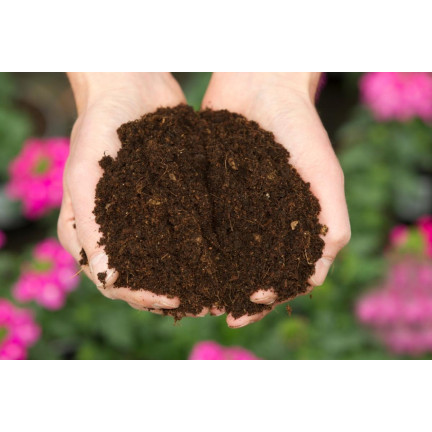 BIO7 ZIEMIA UNIWERSALNA 20L BIOVITA DO KWIATÓW ROŚLIN ZIELONYCH