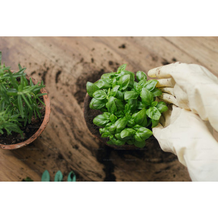 BIO30 Biovita Ziemia, Podłoże BIO do Ziół, Naturalna 10L