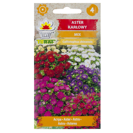 R0371 ASTER KARŁOWY MIX 1G NASIONA MIESZANKA NASION ASTRA NA RABATY