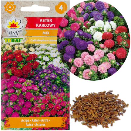 R0371 ASTER KARŁOWY MIX 1G NASIONA MIESZANKA NASION ASTRA NA RABATY