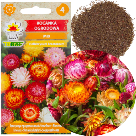 R0715 KOCANKA OGRODOWA MIX 0,5G NASIONA KOCANKI