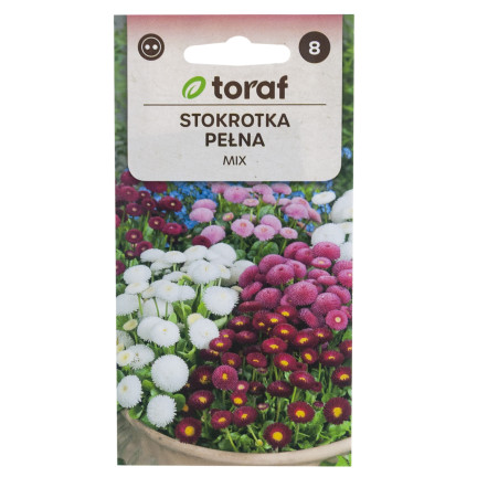 R2573 STOKROTKA PEŁNA MIX NASIONA 0,2G KWIATY KOLOR