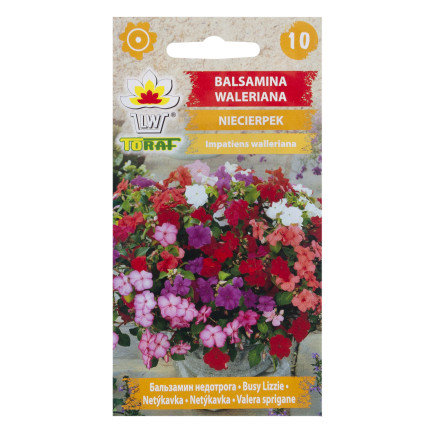 R4485 BALSAMINA NIECIERPEK WALERIANA 0,1 NASIONA KWIATY KOLOR