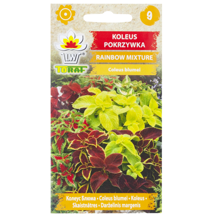 R6663 KOLEUS POKRZYWKA 0,2G NASIONA KWIATÓW RAINBOW MIXTURE MIX MIESZANKA