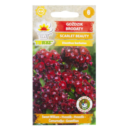 R8117 GOŹDZIK BRODATY SCARLET BEAUTY NASIONA 0,5