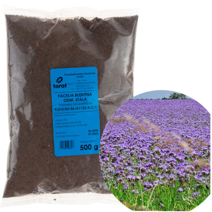 R8803 FACELIA BŁĘKITNA ODMIANA STALA 500G