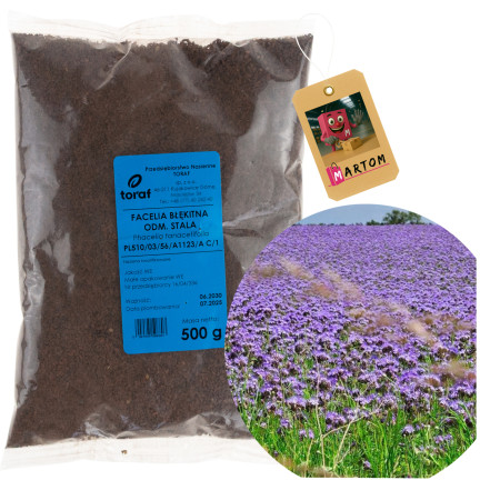 R8803 FACELIA BŁĘKITNA ODMIANA STALA 500G