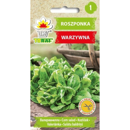 W1186 ROSZPONKA WARZYWNA NASIONA ROSZPONKI BOGATE W WITAMINY SAŁATA 1G