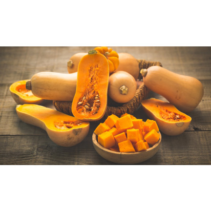 Z3036 Nasiona Dyni DYNIA PIŻMOWA BUTTERNUT nasiona warzyw BEZWŁÓKNISTA