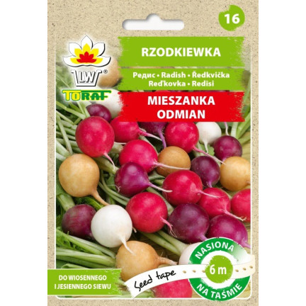 T8024 Rzodkiewka mix odmian, nasiona rzodkiewki na taśmie, taśma nasienna 6m