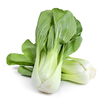 W3779 KAPUSTA PAK CHOI CHIŃSKA 1G NASIONA KAPUSTY CHIŃSKIEJ TORAF