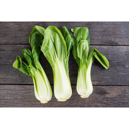 W3779 KAPUSTA PAK CHOI CHIŃSKA 1G NASIONA KAPUSTY CHIŃSKIEJ TORAF