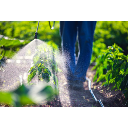 SUM41 Help Plant MG Magnez na choroby roślin, środek na niedobory magnezu 20 g Sumin