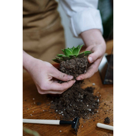 BIO15 ZIEMIA UNIWERSALNA BIO EKOLOGICZNA DO KWIATÓW ROŚLIN 10L Z NAWOZEM