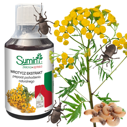 SUM25 Sumin ekstrat wrotycz 250ml, naturalny wrotycz na pędraki opuchlaki, środek na szkodniki glebowe