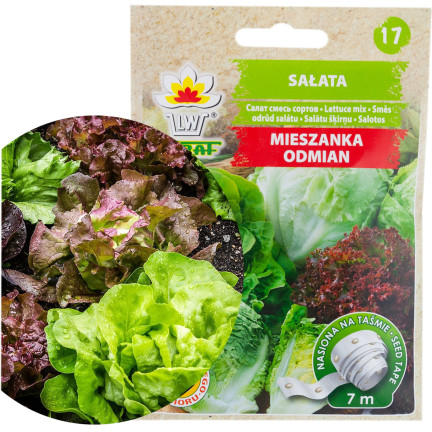 T3839 SAŁATA MIX ODMIAN TAŚMA 7M