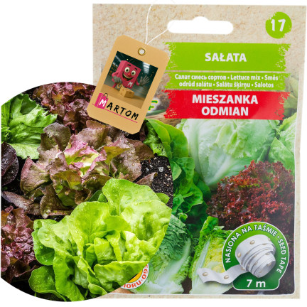 T3839 SAŁATA MIX ODMIAN TAŚMA 7M