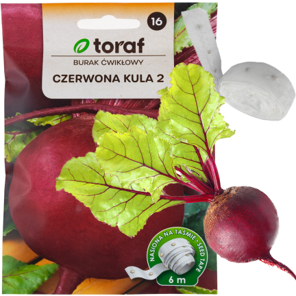 T8001 BURAK ĆWIKŁOWY NA TAŚMIE CZERWONA KULA TAŚMA NASIENNA NASIONA BURAKA 6M