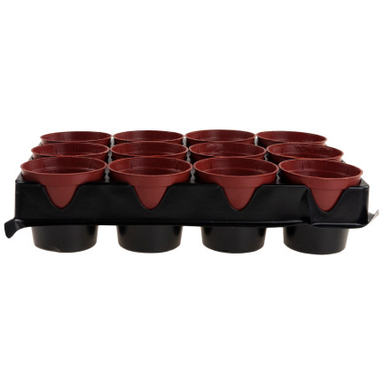 TG67324 DONICZKI PRODUKCYJNE multiplaty DO ROZSAD WYSIEWU SADZONEK12SZT +PALETKA