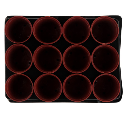 TG67324 DONICZKI PRODUKCYJNE multiplaty DO ROZSAD WYSIEWU SADZONEK12SZT +PALETKA
