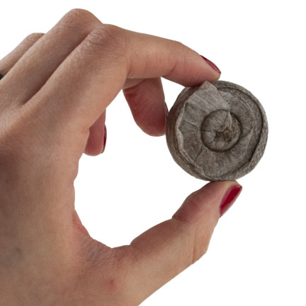 TG67344 KRĄŻKI KOKOSOWE TORFOWE PODŁOŻE DO KIEŁKOWANIA KLONOWANIA WYSIEWU 20SZT 3,5cm