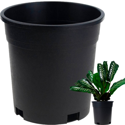 TG72940 DONICZKA PRODUKCYJNA WYSOKA P14 1,5L OKRĄGŁA ROZSADOWA Z RANTEM 14X14CM