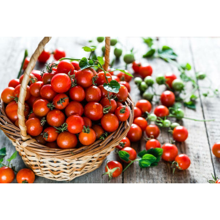 W5222 POMIDOR KOKTAJLOWY BAJAJA 0,3G NASIONA POMIDORA POMIDORKI CHERRY NA BALKON