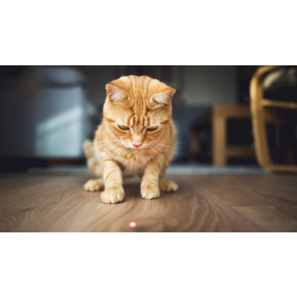 IM024 LASER DLA KOTA WSKAŹNIK LASEROWY LATARKA UV ZABAWKA 3w1 DO ZABAWY Z KOTEM