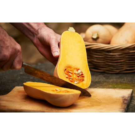 Z3036 Nasiona Dyni DYNIA PIŻMOWA BUTTERNUT nasiona warzyw BEZWŁÓKNISTA