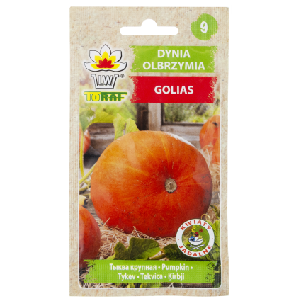 W1038 DYNIA OLBRZYMIA GOLIAS CUCURBITA MAXIMA NASIONA DYNIA OWOCE DO 30KG 4G