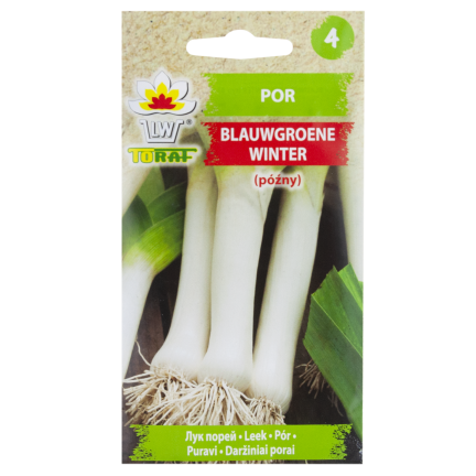 W1177 POR NASIONA PORA BLAUWGROENE WINTER TYP ALASKA PÓŹNY ODPORNY NA MROZY 1G