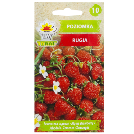 W1181 POZIOMKA NASIONA POZIOMKI RUGIA PLENNA SOCZYSTE OWOCE NAJSŁODSZA 0,2G