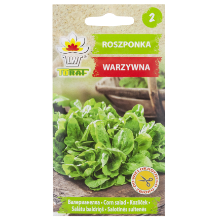 W1186 ROSZPONKA WARZYWNA NASIONA ROSZPONKI BOGATE W WITAMINY SAŁATA 1G