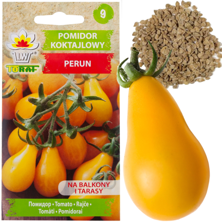 W2993 POMIDOR KOKTAJLOWY GRUNTOWY WYSOKI PERUN 0,5G NASIONA PLENNY