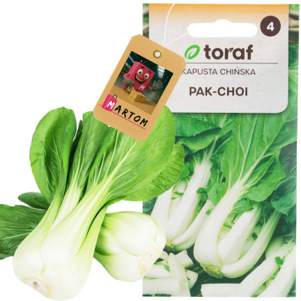 W3779 KAPUSTA PAK CHOI CHIŃSKA 1G NASIONA KAPUSTY CHIŃSKIEJ TORAF