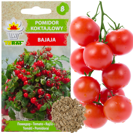 W5222 POMIDOR KOKTAJLOWY BAJAJA 0,3G NASIONA POMIDORA POMIDORKI CHERRY NA BALKON