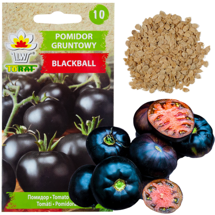 W6830 POMIDOR GRUNTOWY WYSOKI BLACKBALL NASIONA 0,3G ODMIANA ŚREDNIOPÓŹNA