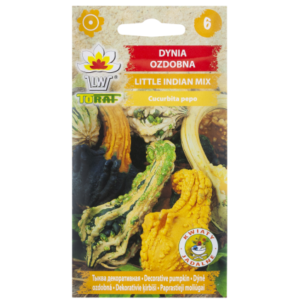 W7059 Dynia ozdobna little indian, nasiona dyni mix, różne kolory kształty dyni, dynia nasiona 2g