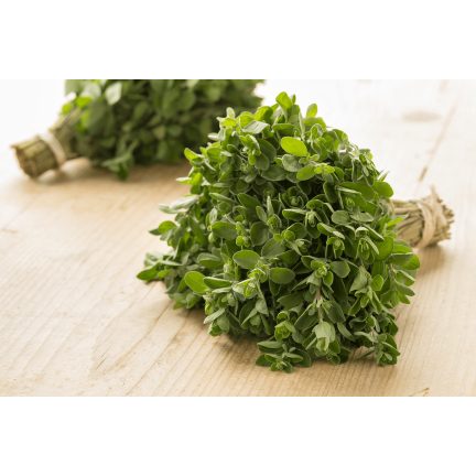 Z3018 MAJERANEK NASIONA ZIÓŁ MAJERANKU ZIOŁA AROMATYCZNY DODATEK DO DAŃ 1G