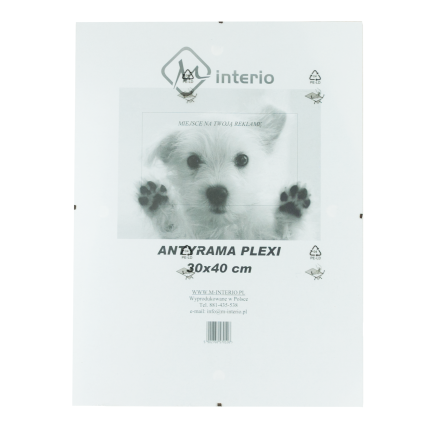 X2 ANTYRAMA 30X40CM