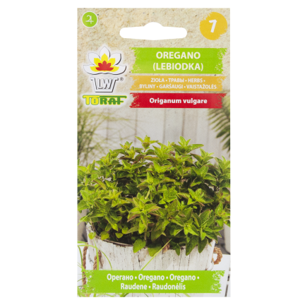 Z3026 OREGANO LEBIODKA NASIONA ZIÓŁ ZIOŁA AROMATYCZNE ZIOŁO KAŻDEJ KUCHNI 0,5G