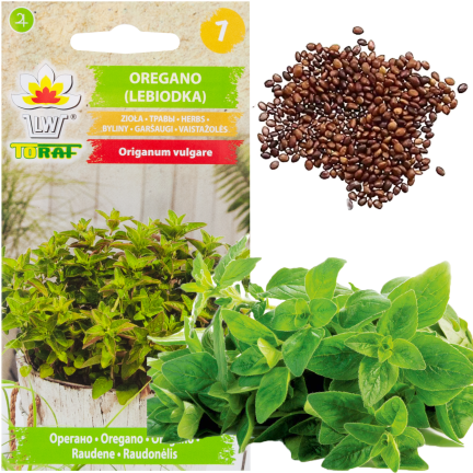 Z3026 OREGANO LEBIODKA NASIONA ZIÓŁ ZIOŁA AROMATYCZNE ZIOŁO KAŻDEJ KUCHNI 0,5G
