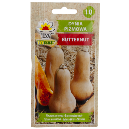 Z3036 Nasiona Dyni DYNIA PIŻMOWA BUTTERNUT nasiona warzyw BEZWŁÓKNISTA