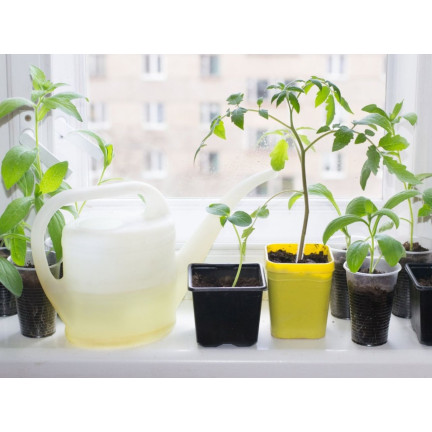 SUM28 SUMIN Multiroots ukorzeniacz, ukorzenia sadzonki cebulki roślin ozdobnych 100 ml