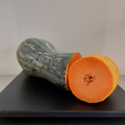 W1245 DYNIA PIŻMOWA BUTTERNUT CUCURBITA MOSCHATA NASIONA DYNI DELIKATNY SMAK 5G