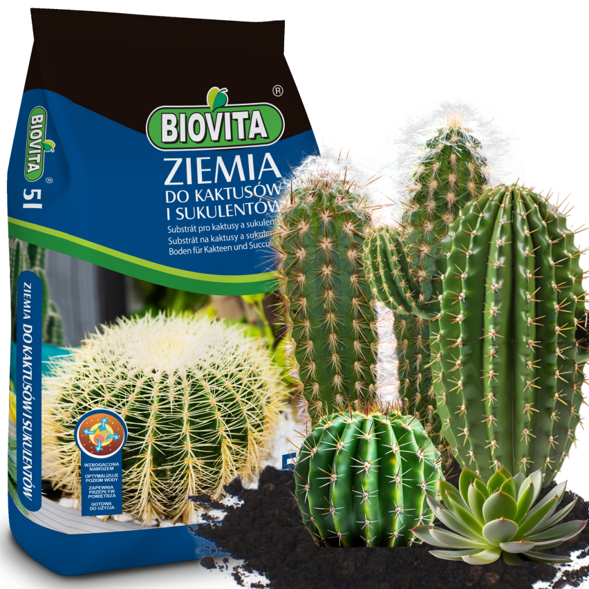 BIO10 PODŁOŻE ZIEMIA DO KAKTUSÓW I SUKULENTÓW ALOESU PRZEPUSZCZALNA 5L